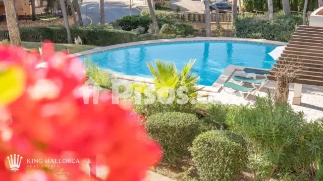 Apartment on Carrera Cala Fornells, 56 — photo 1