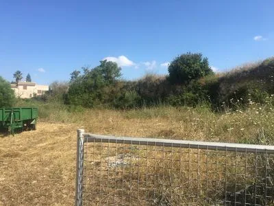 plot in Santa Margalida — photo 1