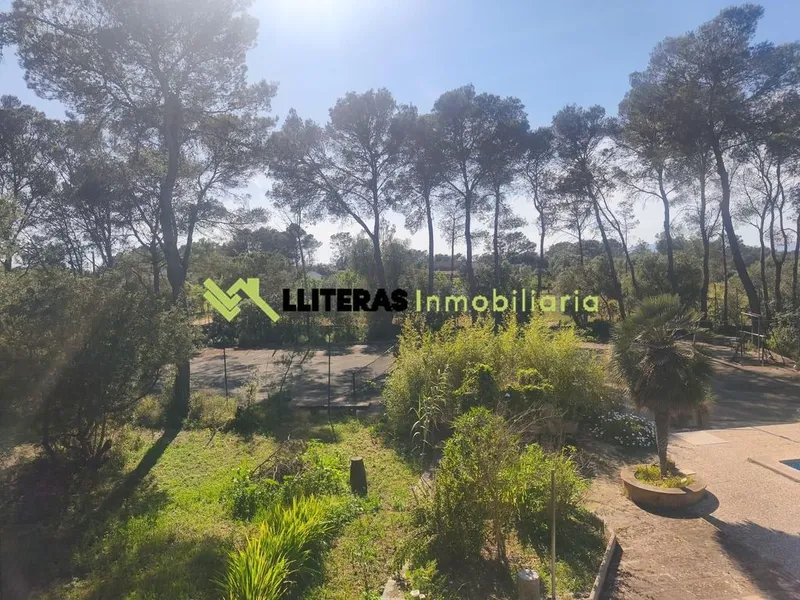 Rural or Farmhouse in Algaida, Province of Balearic Islands — photo 7