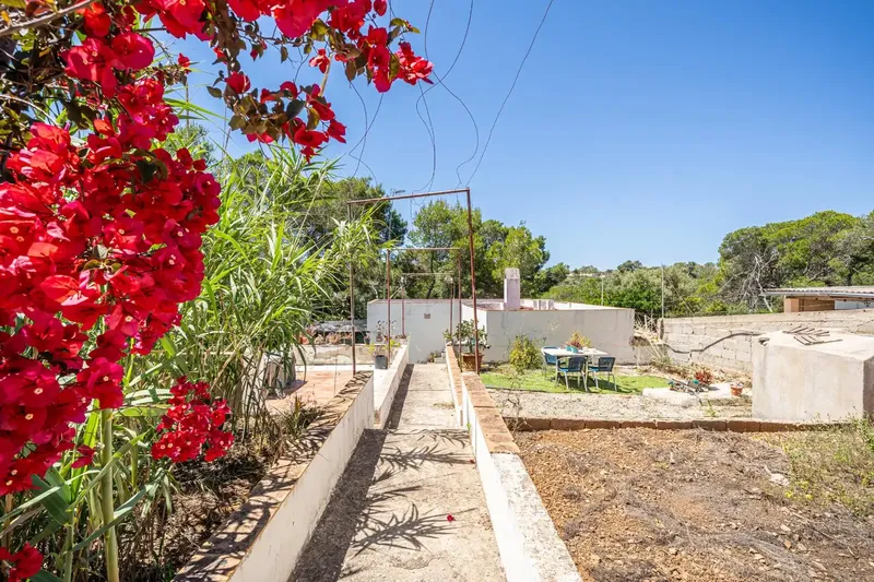 House with land in Son Moja, Santanyi — photo 4