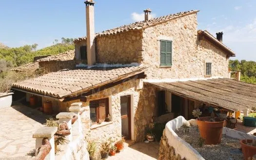 finca in Andratx — photo 1
