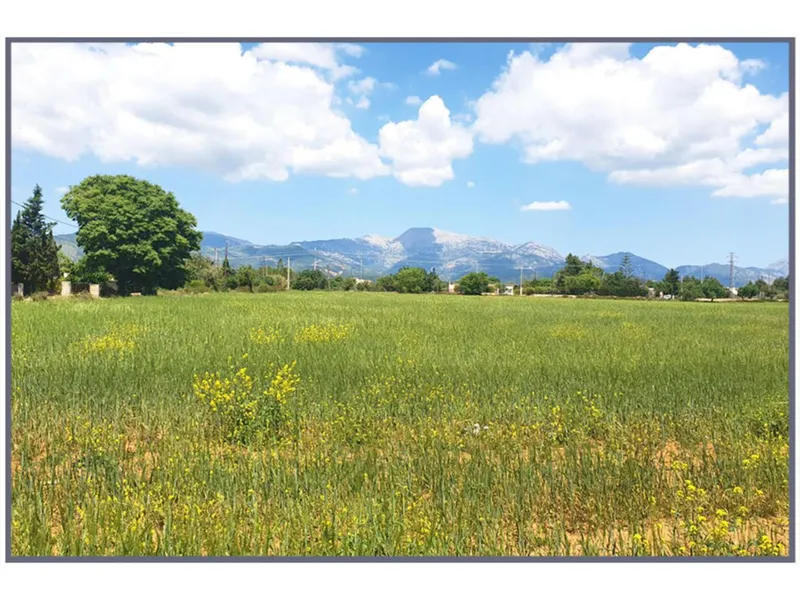 Land — photo 1