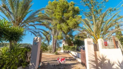 Rustic finca in Montuiri — photo 6