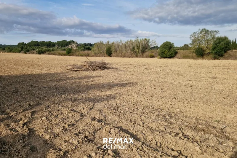 Rustic plot with well in Porreres — photo 1