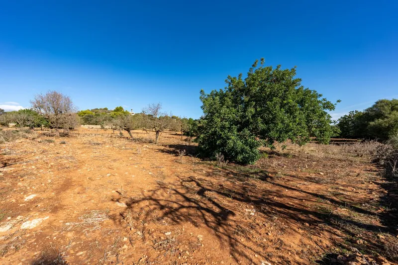 Buildable plot near S'Horta with approved finca project and sea views — photo 7