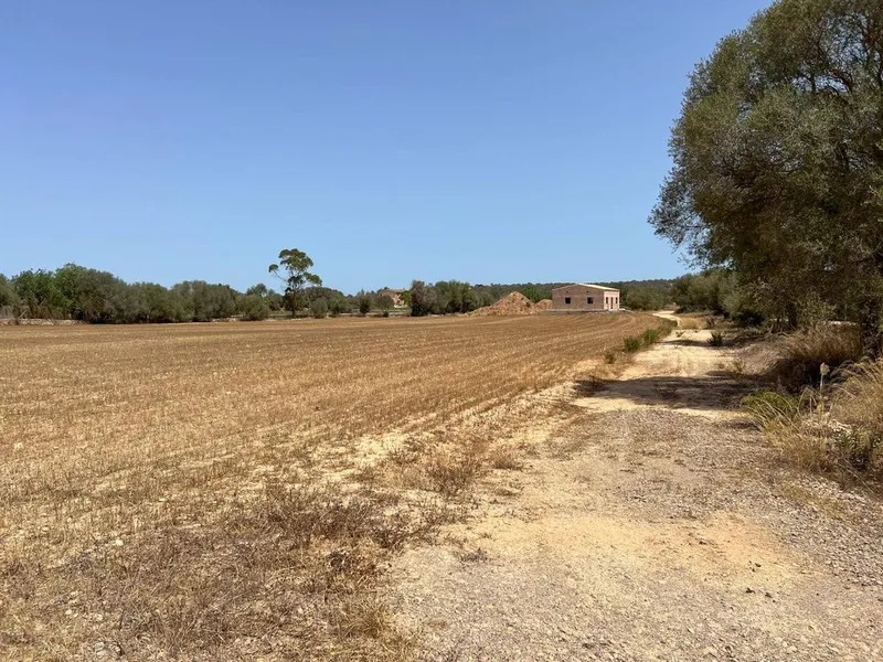 Rural or Farmhouse in Felanitx, Province of Balearic Islands — photo 6