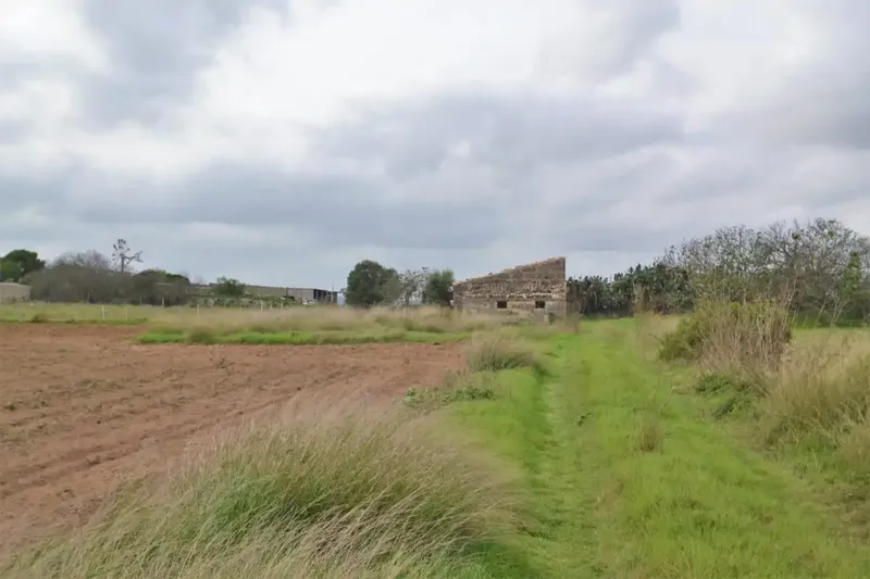 Plot of 24300 square meters with tool shed to renovate — photo 1