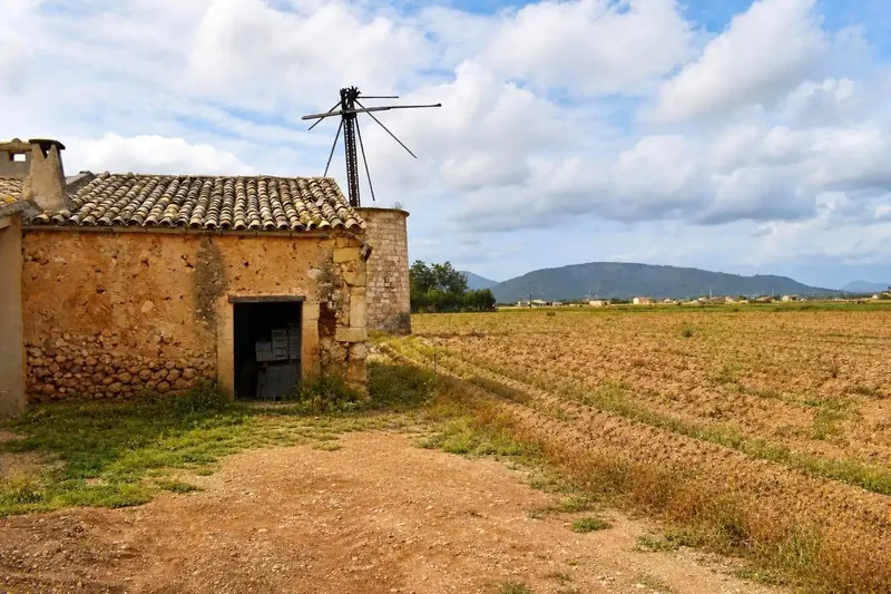 Fantastic rustic estate located in a quiet area of Sa Pobla, with a plot of 24,558 m2 and a basic project for the construction of — photo 7