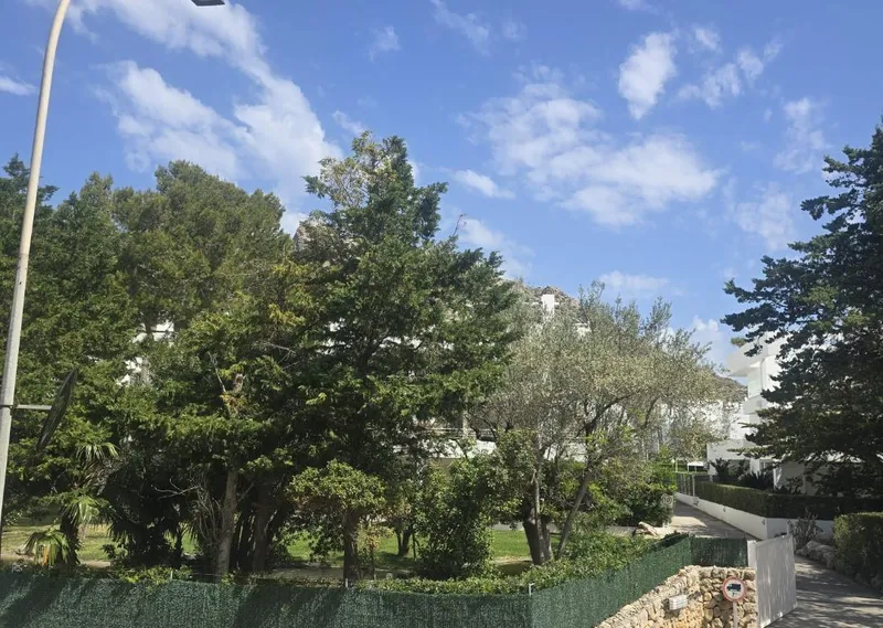 SOLD Spacious Apartment with Partial Sea Views and Exceptional Potential Steps From Pine Walk, Puerto Pollensa — photo 11