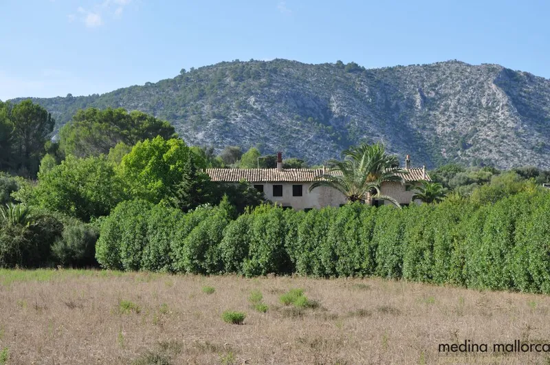Finca in the Campanet Valley — photo 12