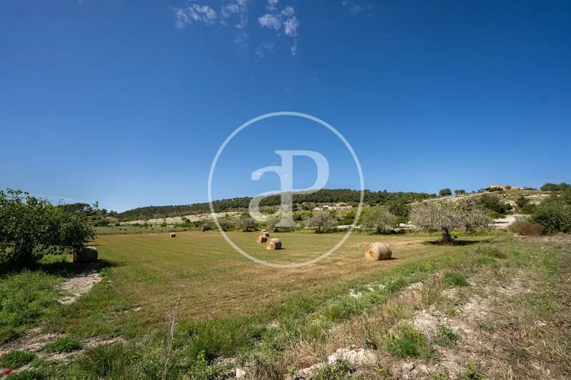 Land in Montuïri, Province of Balearic Islands — photo 9