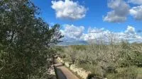 Rustic Land - Costitx, Plot Surface 60138m² — photo 1