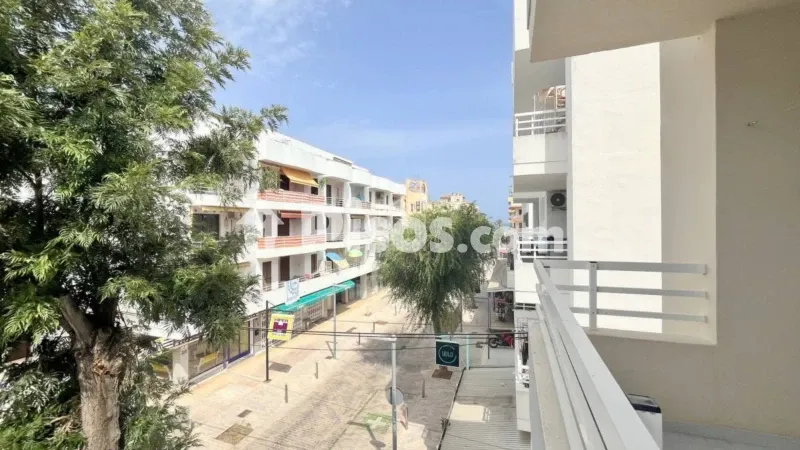 Apartment in Cala Millor — photo 2