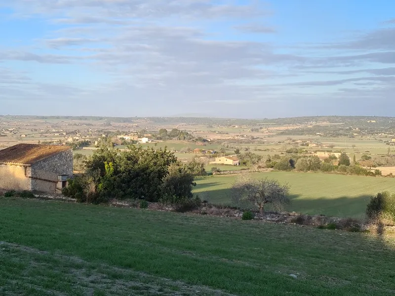 Country house project, 34,000 m² with building permit, mountain views, Montuiri — photo 12