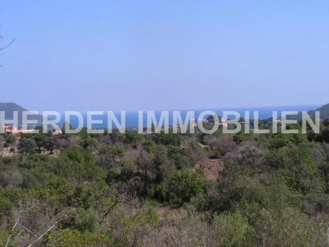 Plot of Land in Son Servera for Sale — photo 3
