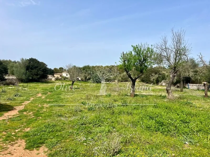 Land in Algaida, Province of Balearic Islands — photo 1