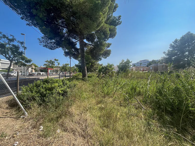 Investment plot by the sea and the beautiful beach of Alcudia, Playa de Muro Mas — photo 5