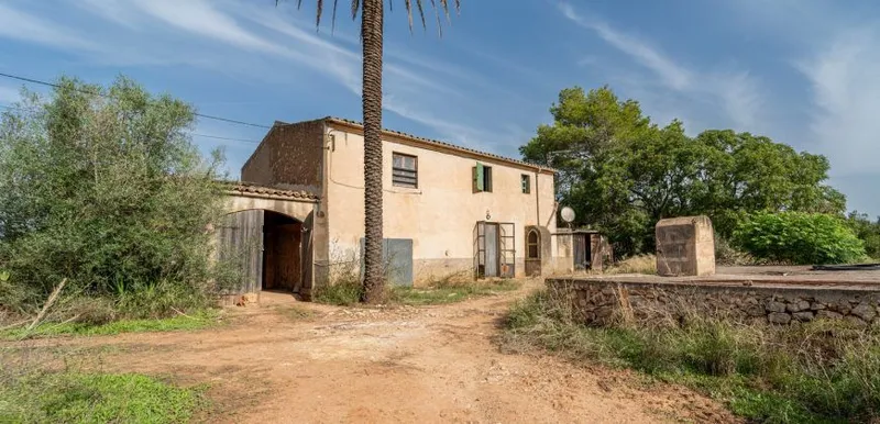 Country house to renovate in Campos with 14,000 m² plot — photo 2