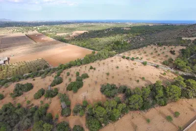 Building land for sale in Manacor — photo 2