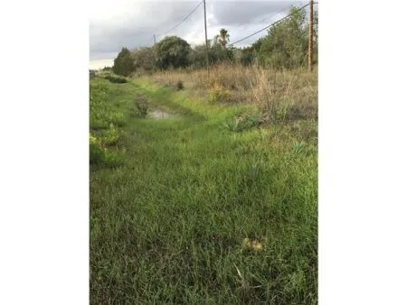 Rural Land - Llucmajor (Llucmajor (Campo)), Plot Surface 5965m² — photo 1