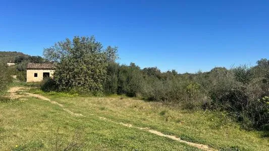 Rustic Land - Marratxí (Sa Cabaneta) — photo 1