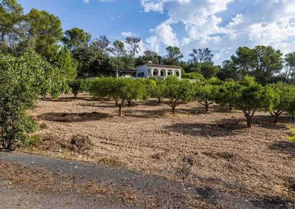 Country house in Algaida — photo 1