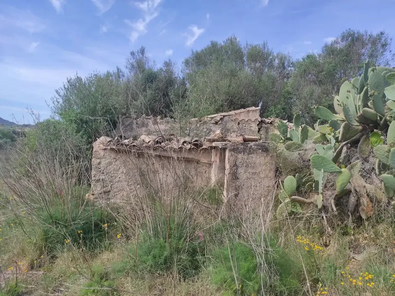 For Sale: Magnificent Estate of 24,800m2 with Project for a 350m2 Single-Family Home in Sineu — photo 3