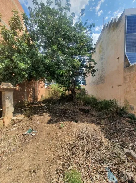 Plot for sale in Llucmajor — photo 3
