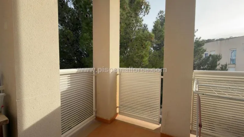 Apartment in Calvia, Paguera area — photo 10