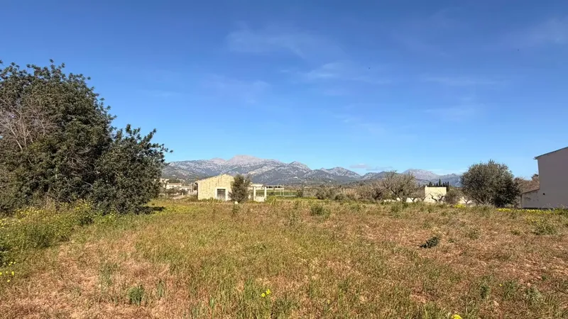 Large rustic estate of 11,000 m² in Lloseta, with existing house and renovation project — photo 1