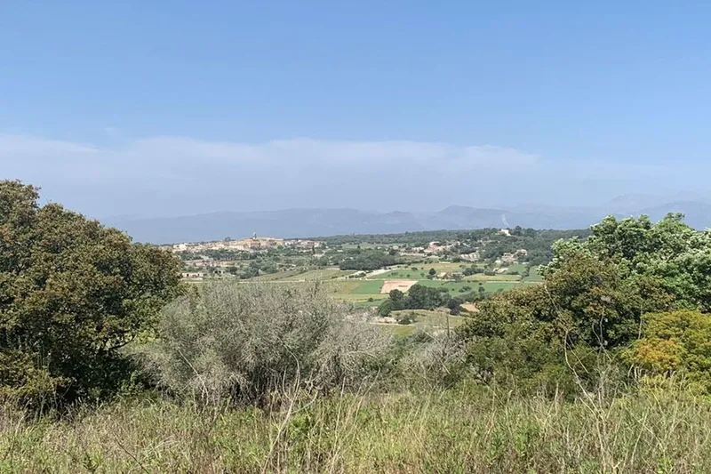 Plot with approved finca project and panoramic views in Lloret de Vistalegre — photo 1
