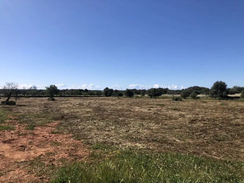 Plot with basic project to build about 370m2 a few minutes from Santanyi — photo 4