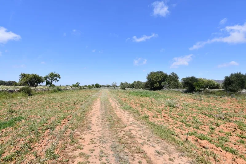 Plot land with basic project, electricity and water just 900 meters from Santanyi — photo 1