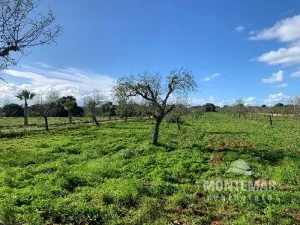 Plot with submitted building project in Santanyi for sale — photo 1