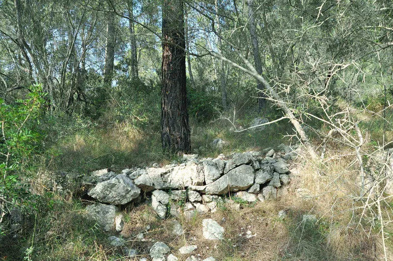 Rustic Land-plot In Sa... — photo 12