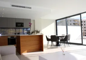 Modern Apartment with Large Terrace — photo 4