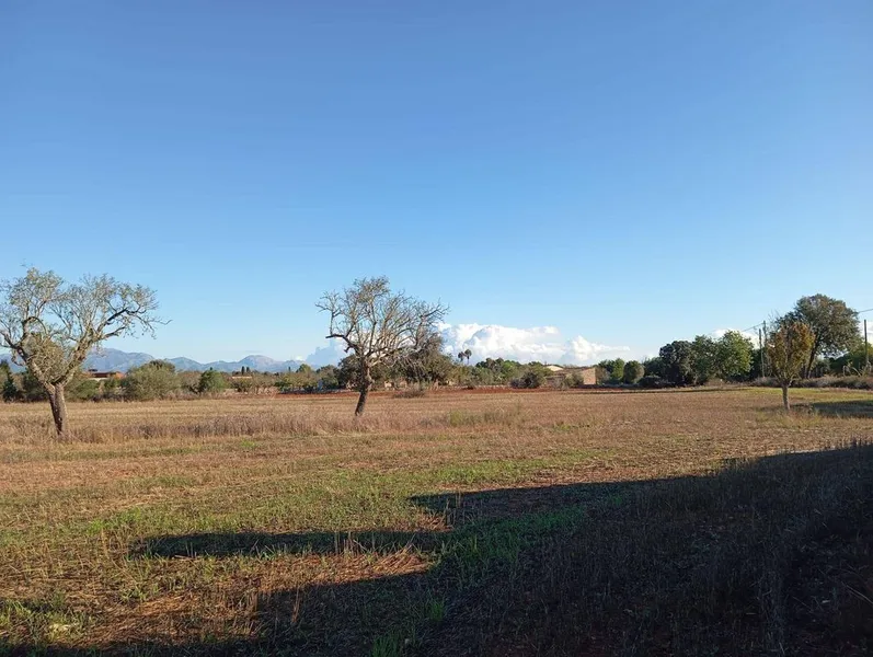 Rural or Farmhouse in Algaida, Province of Balearic Islands — photo 8