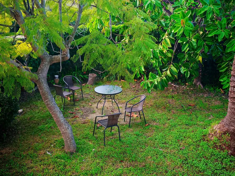 Legal with Habitability Certificate Rustic Property Palma-Establiments — photo 11