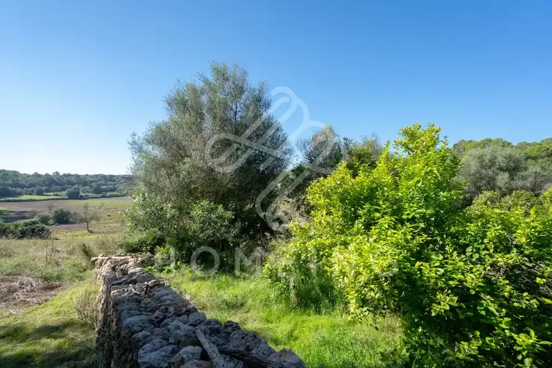 The Castell d'Amos estate, located in Costitx, has an area of 252,000 square meters and borders the municipalities of Sineu and Llor — photo 7