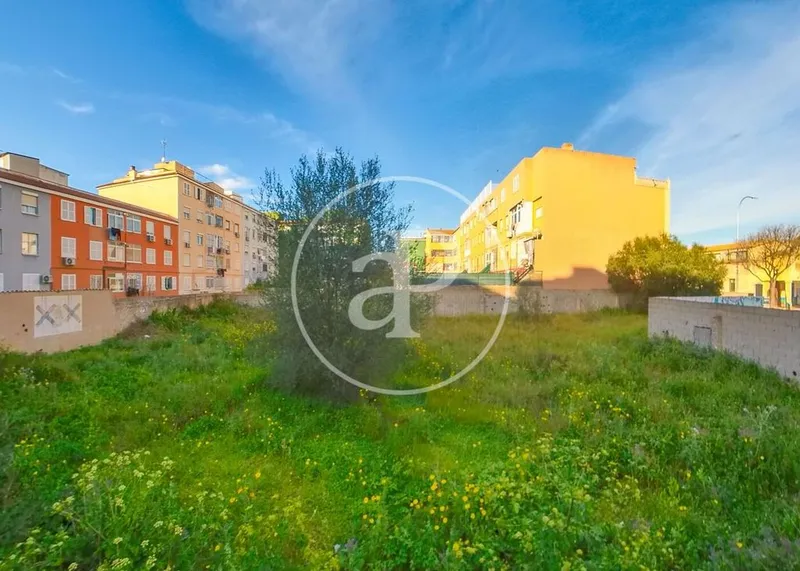Land in Palma de Mallorca, Province of Balearic Islands — photo 8