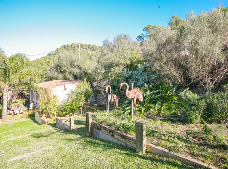 Ref. 2322T – S’Arraco – Property consisting of two houses — photo 5