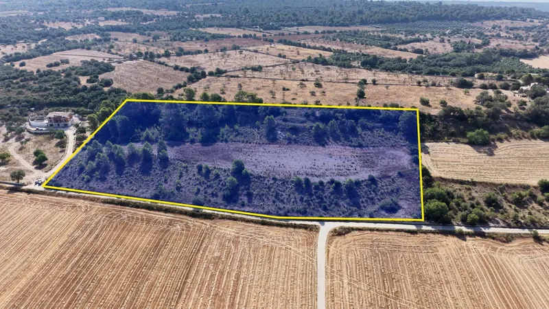 Buildable plot of 29,547 m² with open views in Petra — photo 3