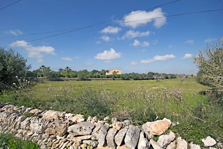 Es Llombards plot with building project G02962 — photo 11