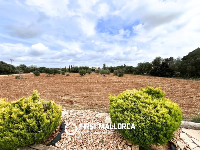 Finca/Country House for rent in Campos — photo 4