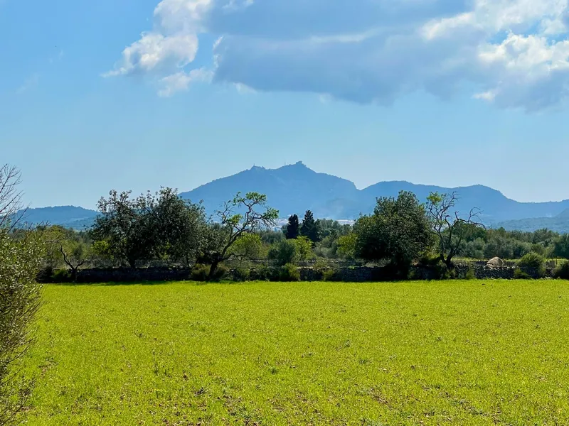 Rustic plot of 14,884 m² between Porreres and Felanitx with spectacular views of Sant Salvador — photo 1
