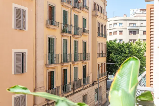 3-room flat for purchase in Palma de Mallorca (property number AP244) | PM Real Estate — photo 3