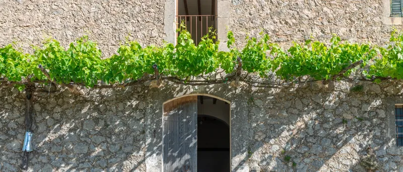 Large country house in Escorca with reform project — photo 7