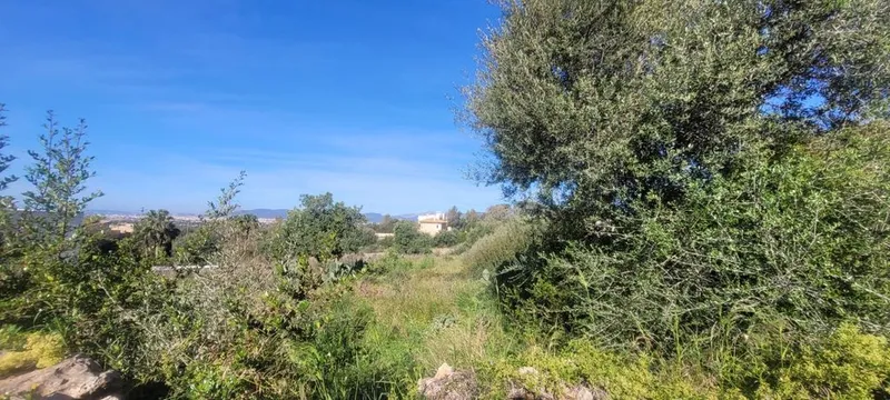 Land in Marratxí, Province of Balearic Islands — photo 11