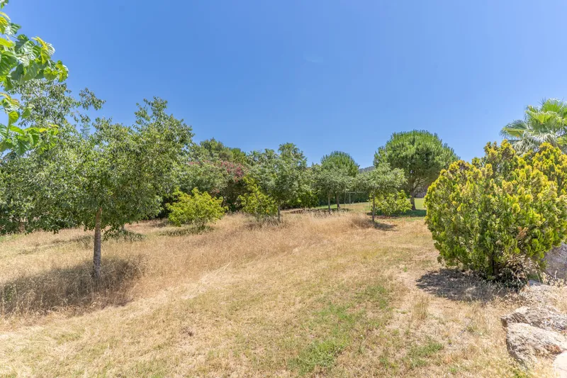 Traditional Mallorcan finca in Manacor — photo 9
