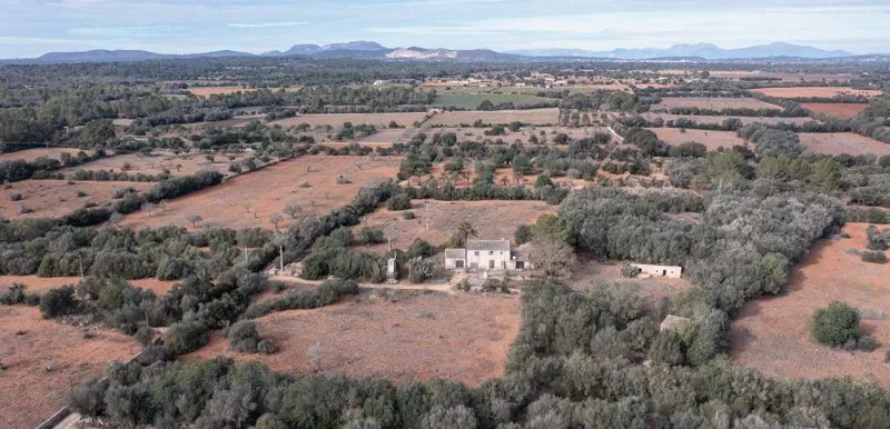 Country house to renovate in Campos with 14,000 m² plot — photo 9
